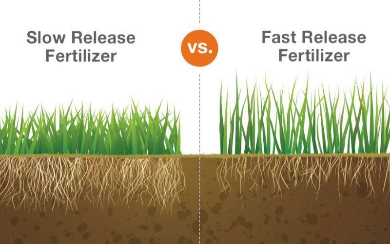 Comparison of fast-release and slow-release nitrogen fertilizers for lawn grass growth and feeding