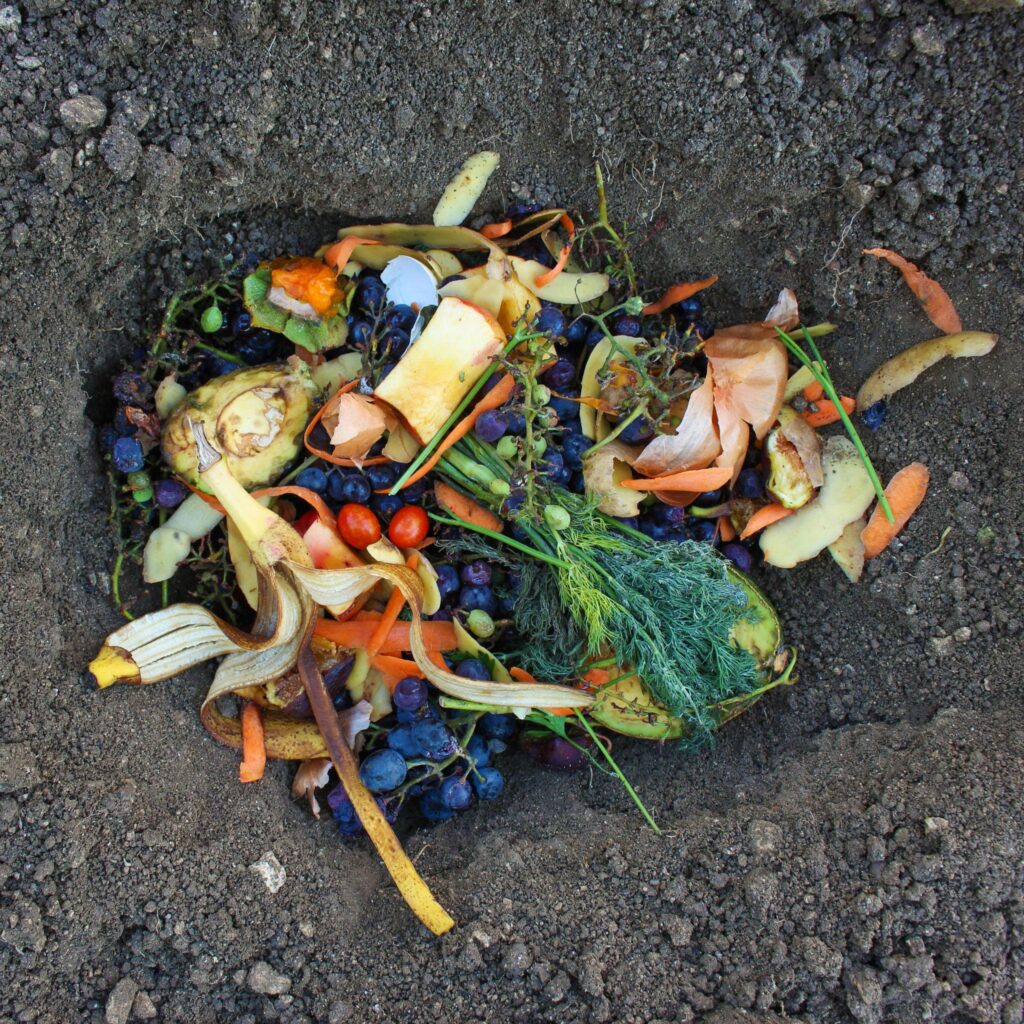 Compost pile filled with banana peels and vegetable scraps for potassium-rich compost