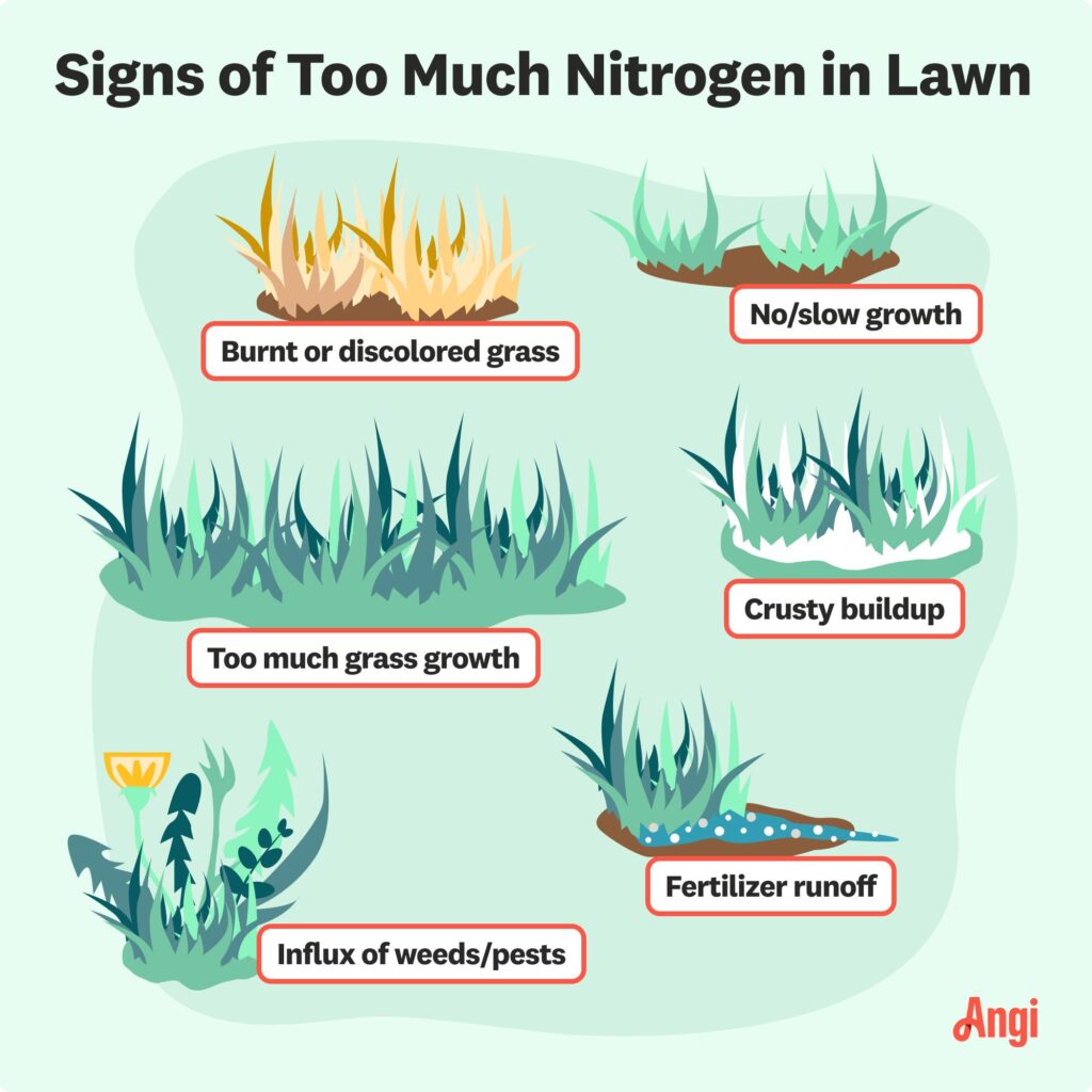 Comparison of healthy green lawn grass and yellow nitrogen-deficient turf showing nutrient deficiency symptoms