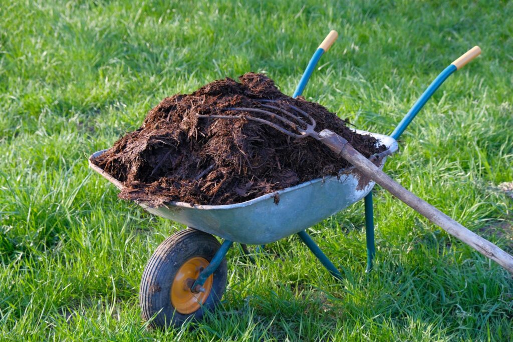 Organic nitrogen fertilizer being applied to eco-friendly residential lawn for natural grass growth