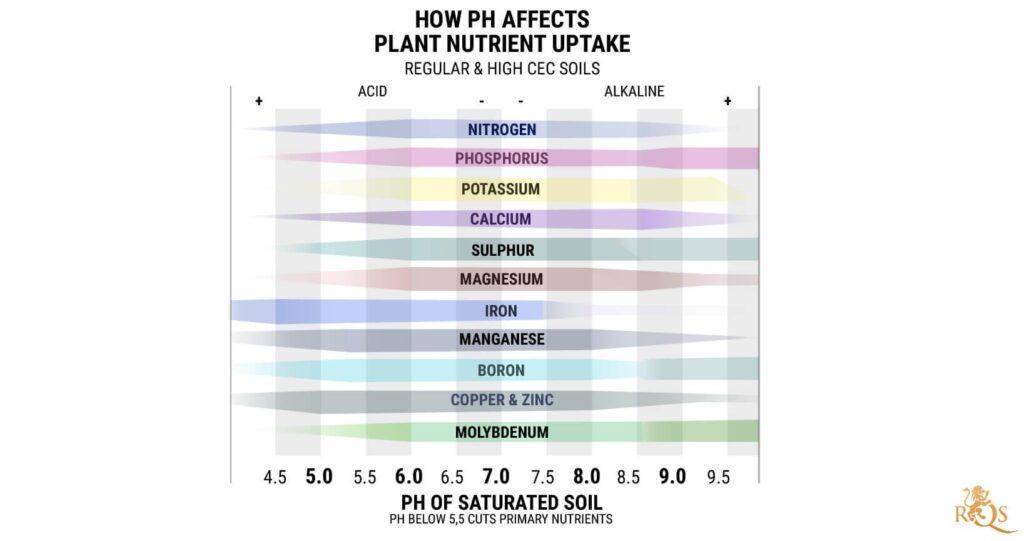 Soil pH chart showing optimal nutrient availability range for lettuce growth