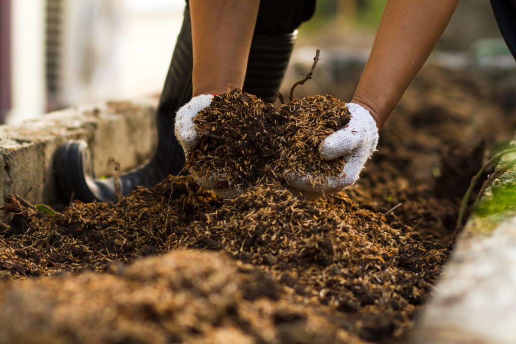 Best organic fertilizers including compost, worm castings, fish emulsion, bone meal, and kelp meal displayed in a garden.