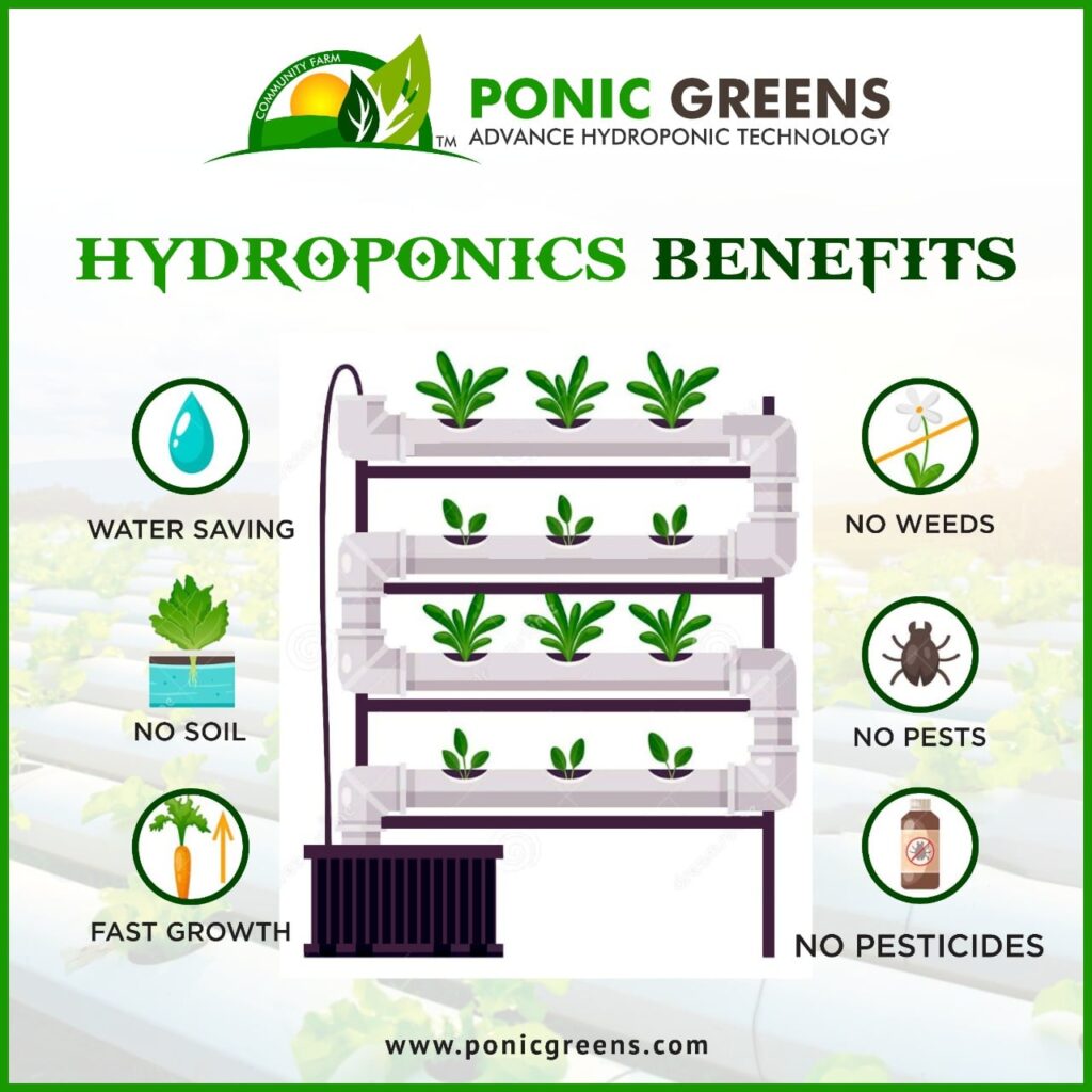 Advantages of hydroponics