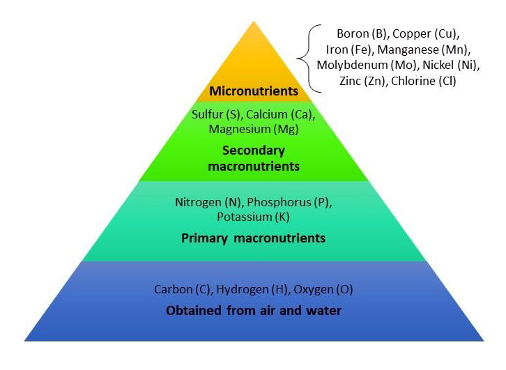 Plant nutrient pyramid showing essential nutrients for plant growth, including carbon, hydrogen, oxygen, primary macronutrients (NPK), secondary macronutrients, and micronutrients.