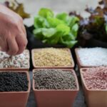 Different organic potassium fertilizer sources including wood ash, kelp meal, and greensand