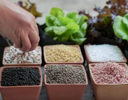 Different organic potassium fertilizer sources including wood ash, kelp meal, and greensand