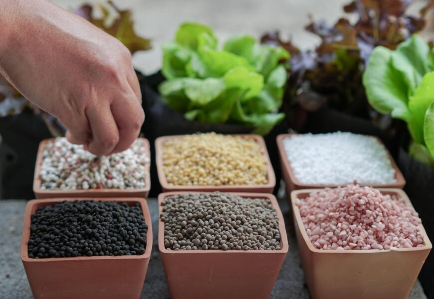 Different organic potassium fertilizer sources including wood ash, kelp meal, and greensand